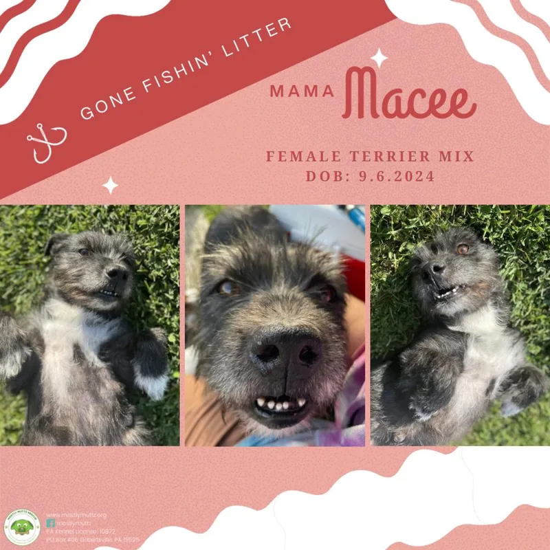 Macee thumbnail 3