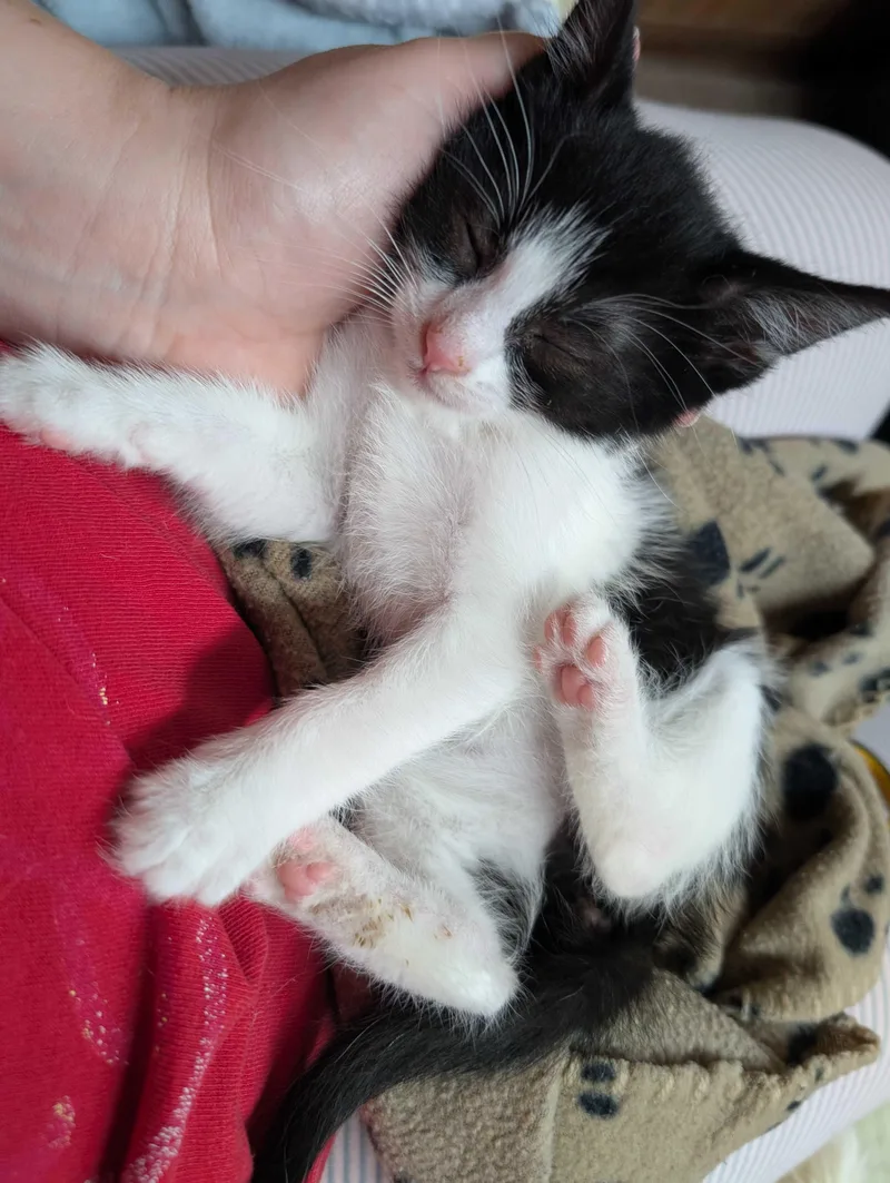 Charlie