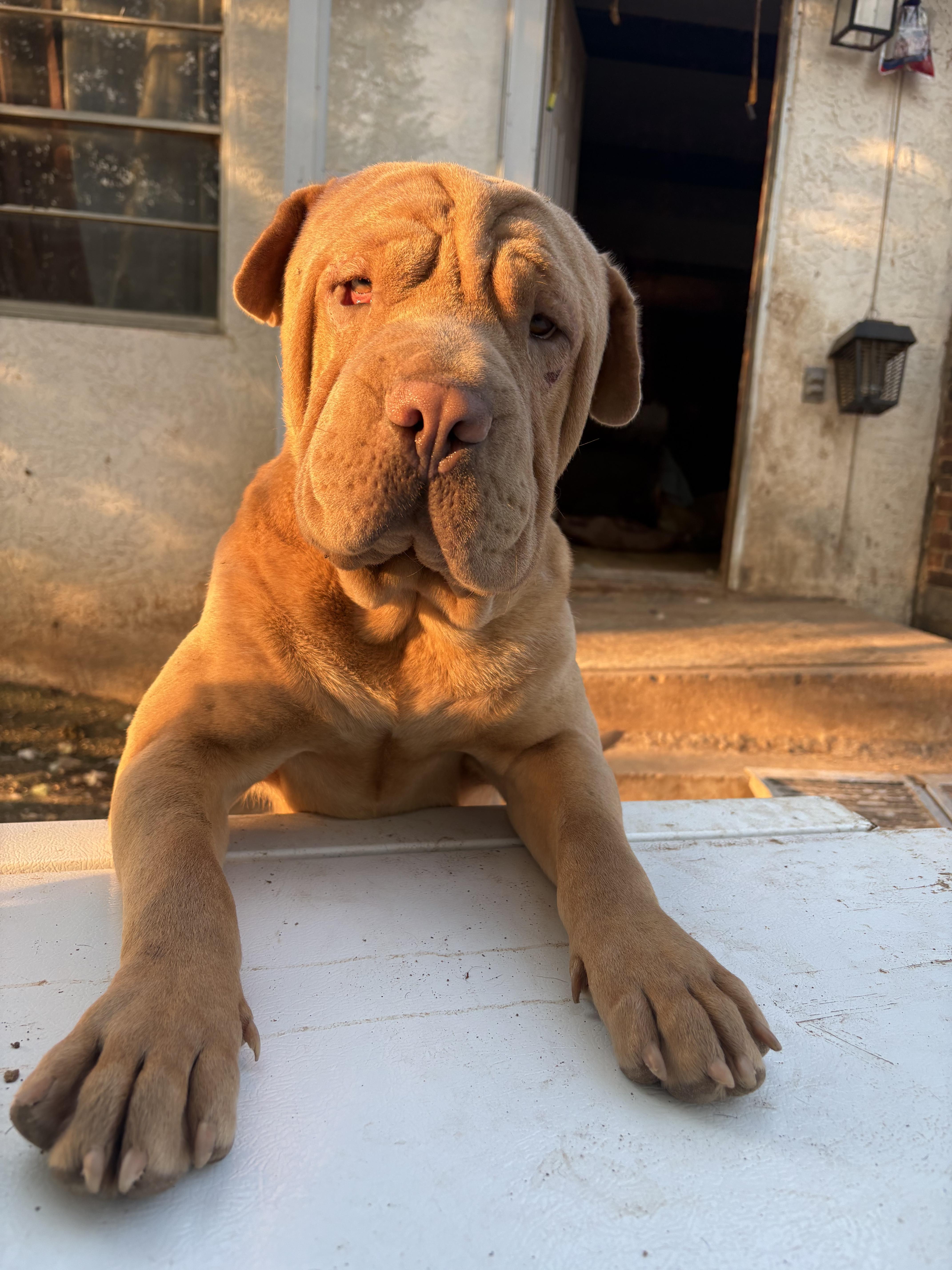 Murphy