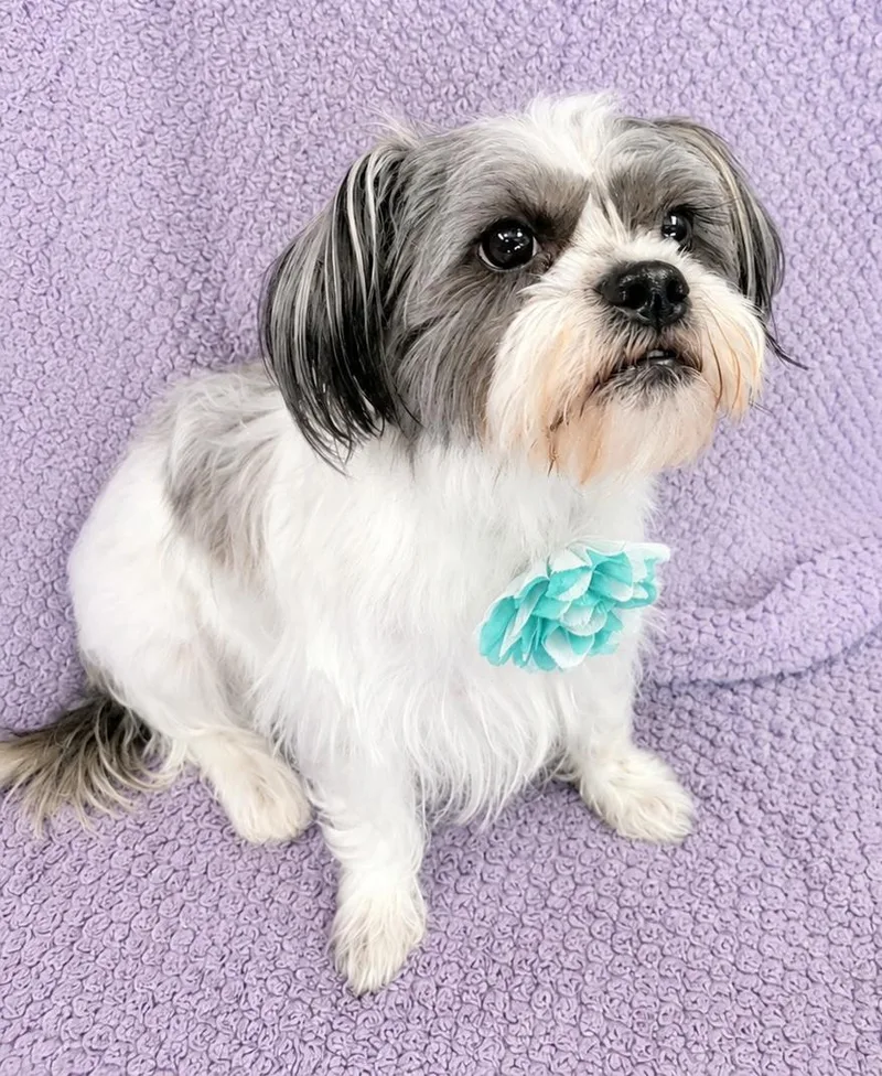 Minnie thumbnail 6