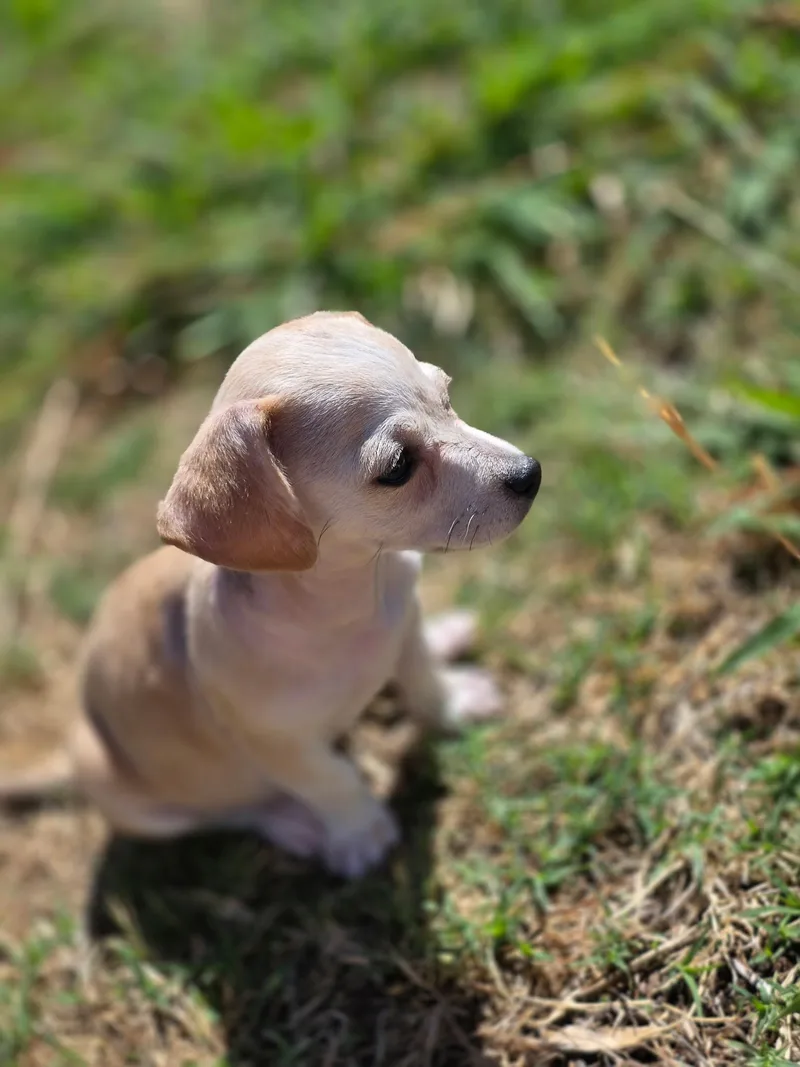 Winnie thumbnail 3