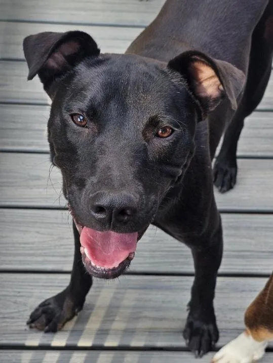 Soongebob Squarepants