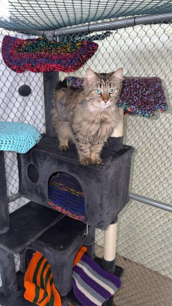 Paisley Mae thumbnail 2