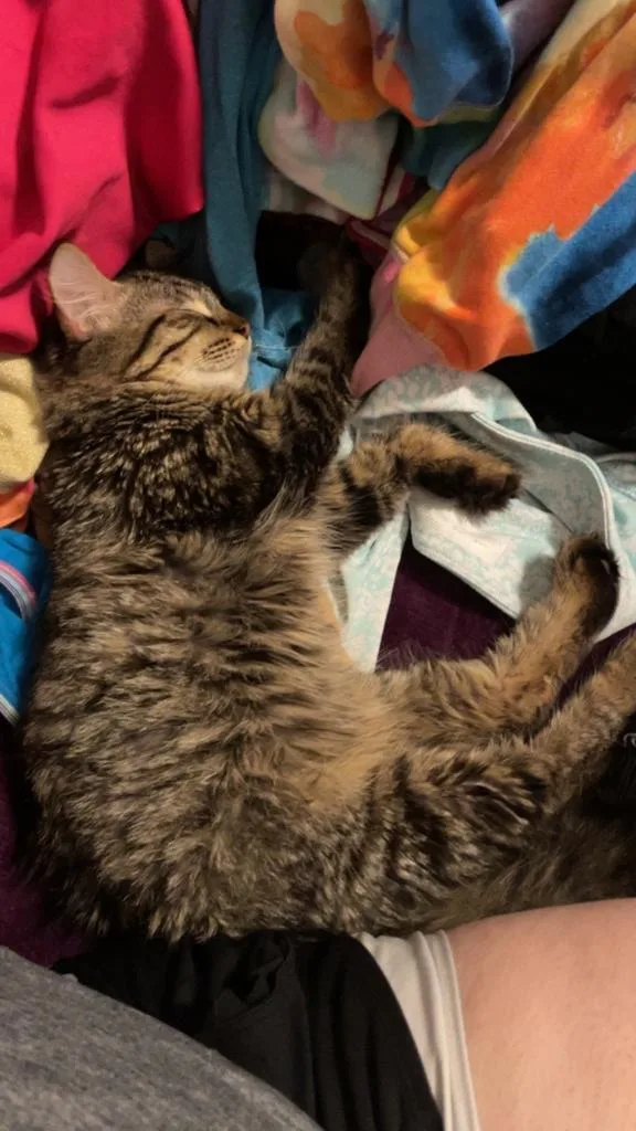 Paisley Mae thumbnail 5