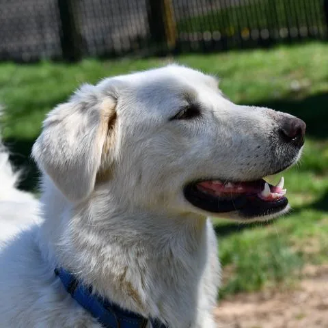 Rosie The Riveter thumbnail 4