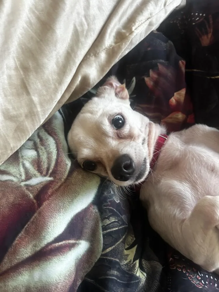 Lady Gaga thumbnail 2