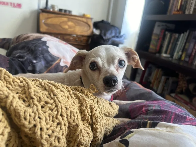 Lady Gaga thumbnail 3