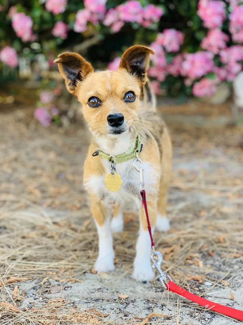 Kirby And Wayne thumbnail 3