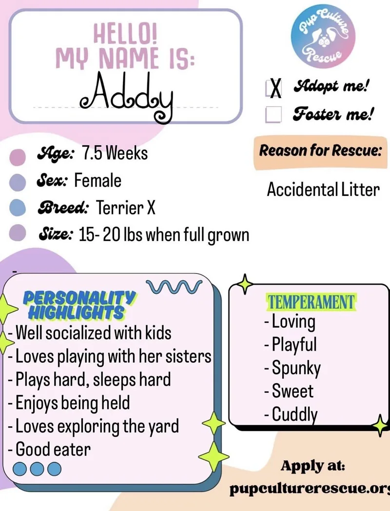 Addy thumbnail 3