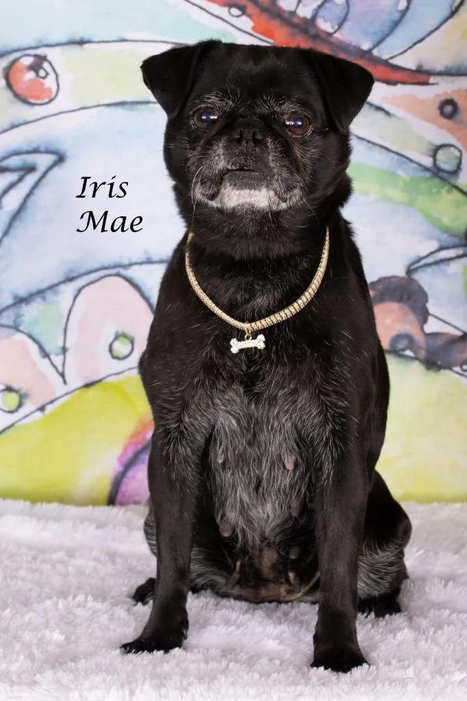 Iris Mae thumbnail 2