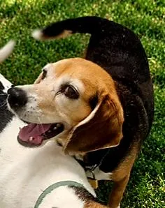 Macie thumbnail 2