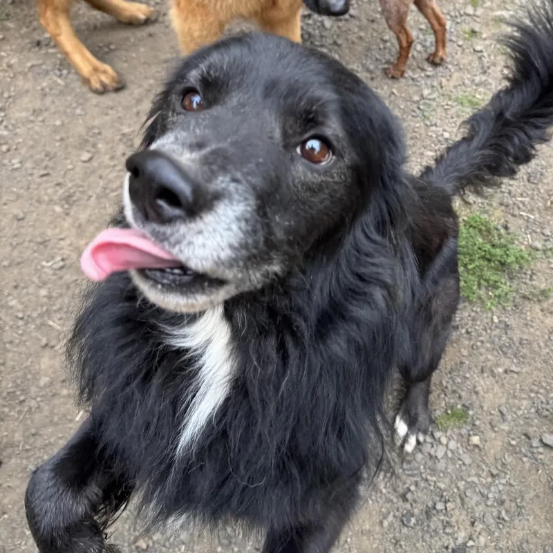 Loki thumbnail 2