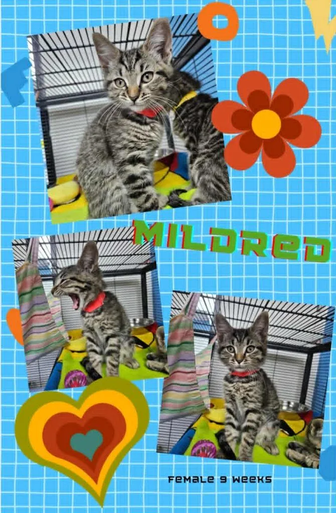 Mildred