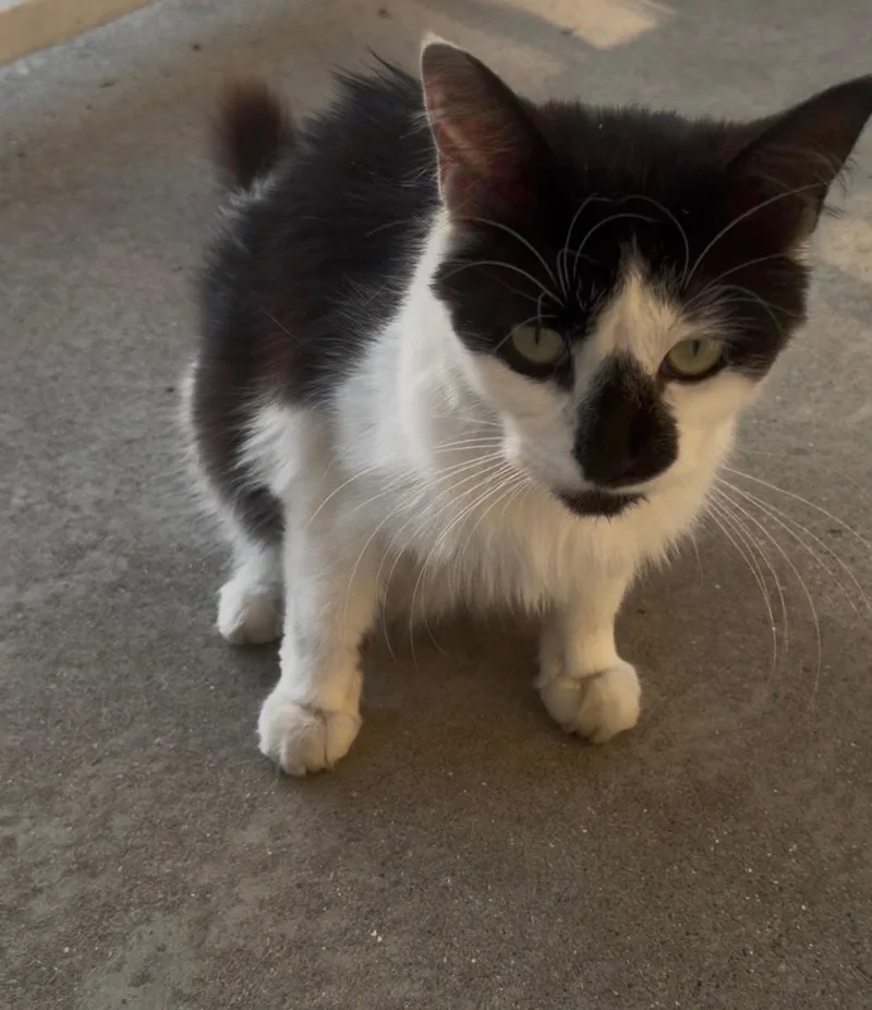 Olivia thumbnail 3