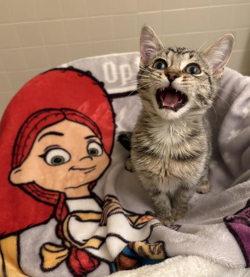 Jessieand Woody thumbnail 3