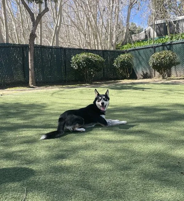 Precious thumbnail 2