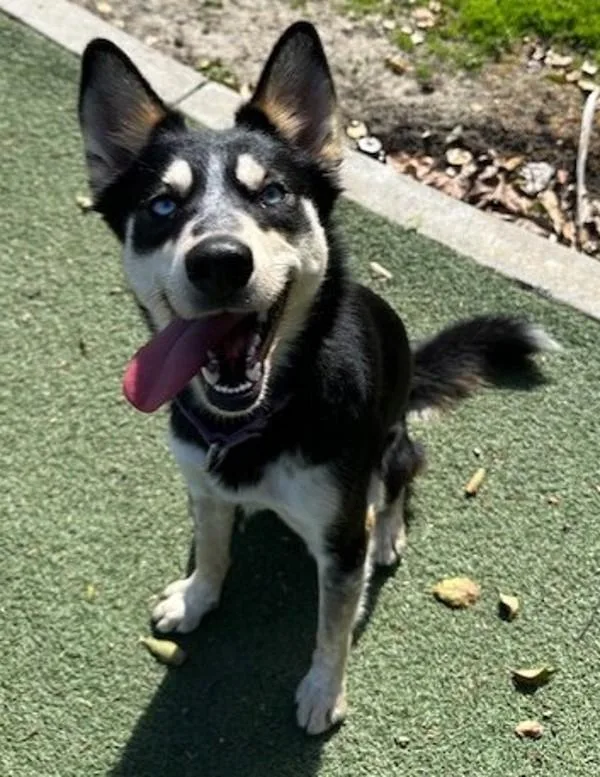 Precious thumbnail 3