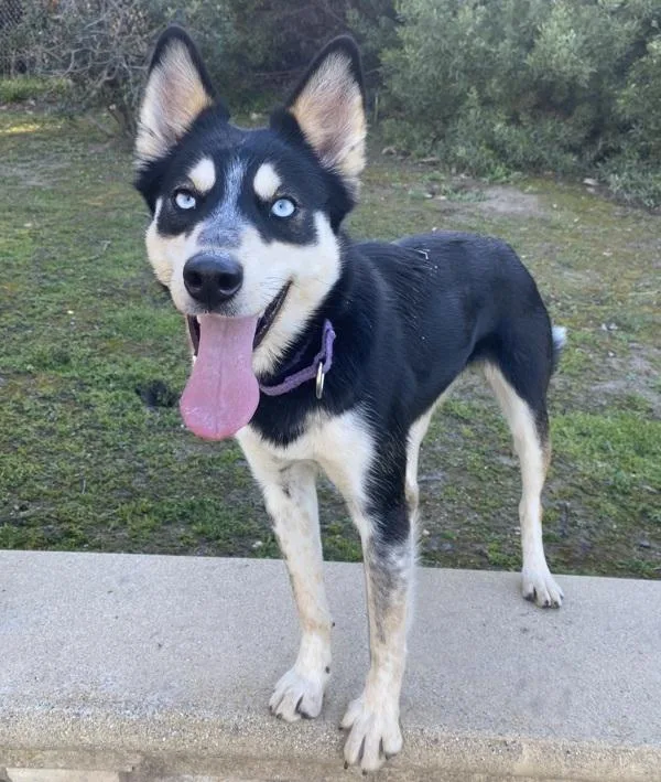 Precious thumbnail 4