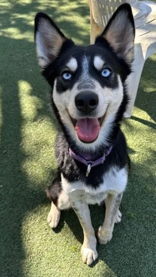 Precious thumbnail 5