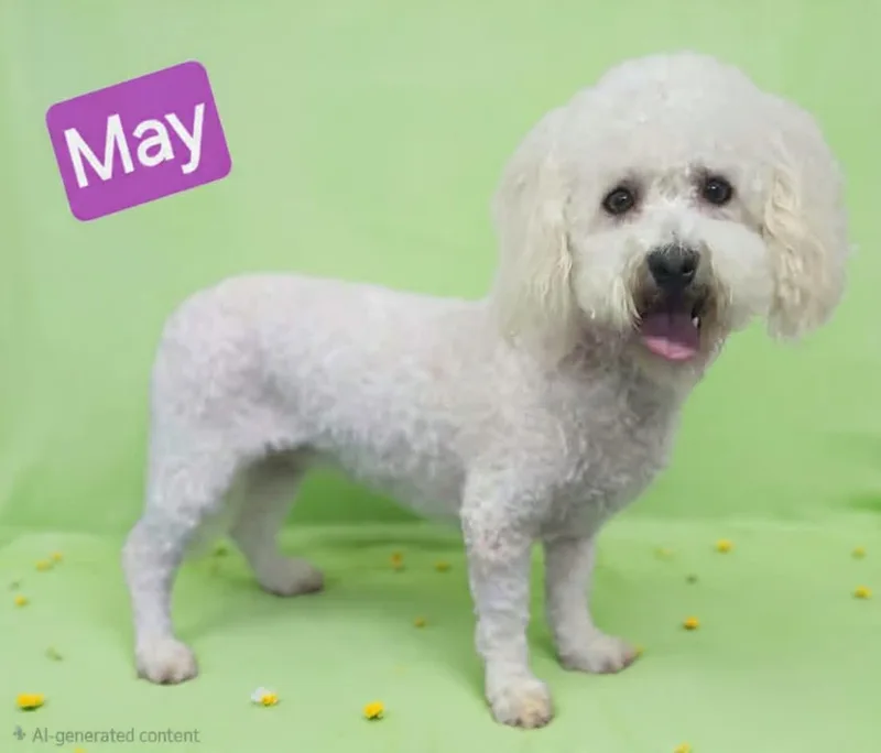May