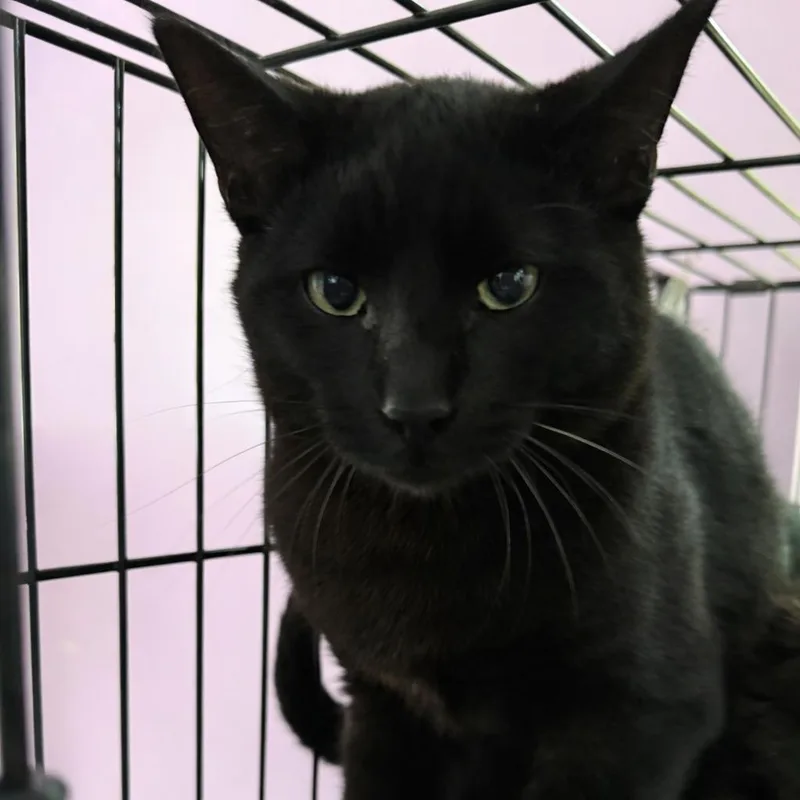 Field And Stream thumbnail 3