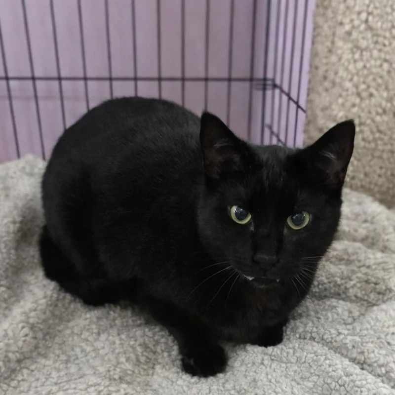 Field And Stream thumbnail 4