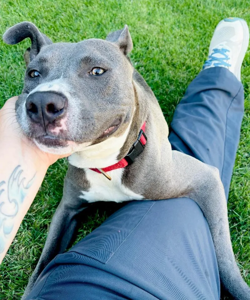 Jaxx thumbnail 5