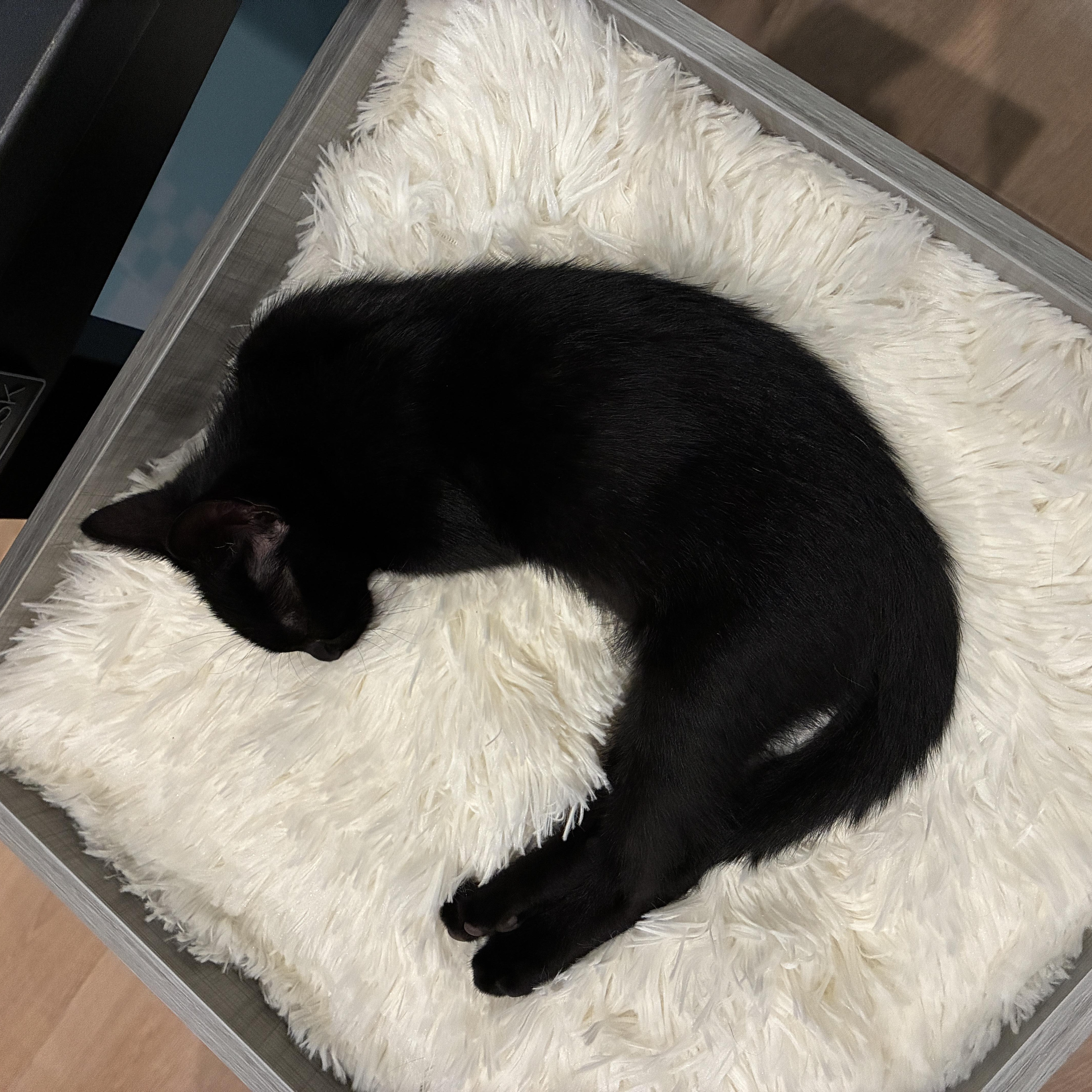 Pepper thumbnail 3