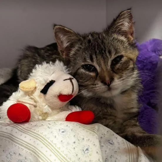 Mrs. Charles thumbnail 2