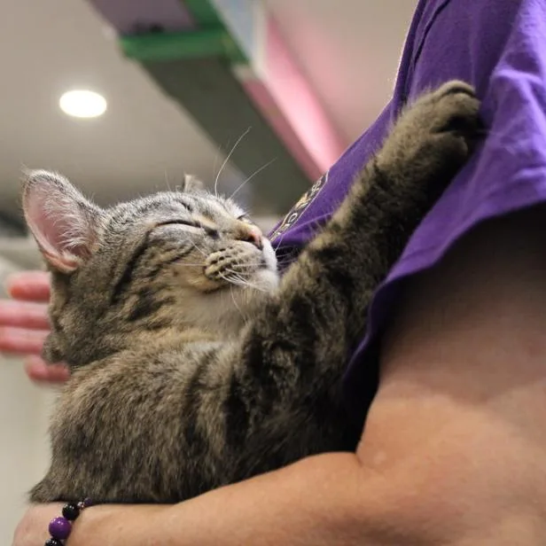 Mrs. Charles thumbnail 3