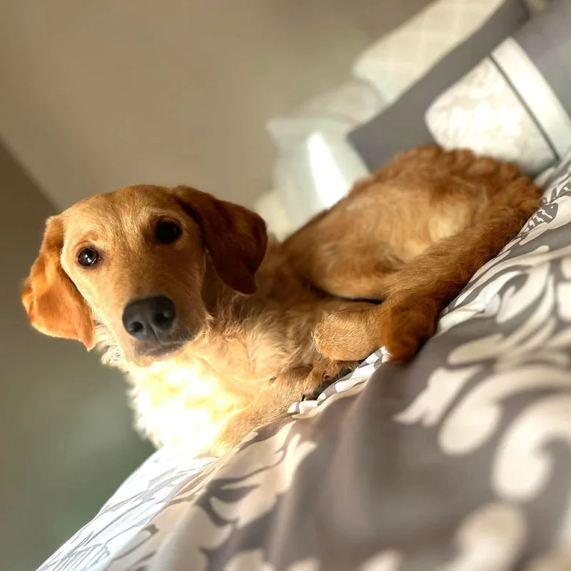 Charlie