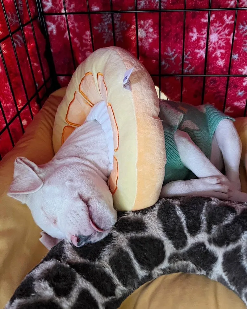 Nail Polish thumbnail 2