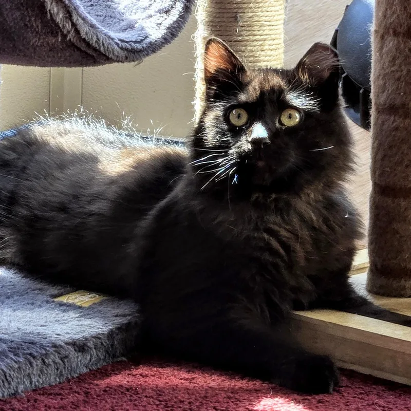 Jasper Holmlund thumbnail 2