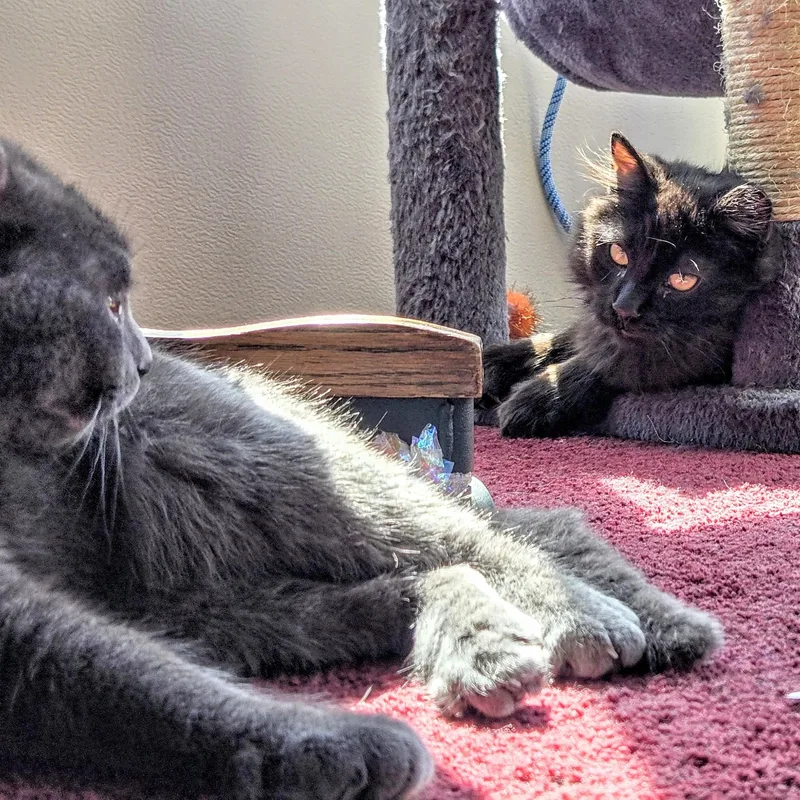 Jasper Holmlund thumbnail 3