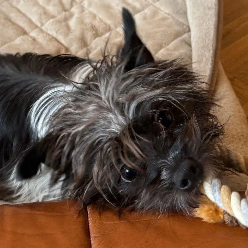 Sprocket thumbnail 2