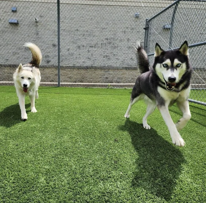 Axel + Canada thumbnail 3