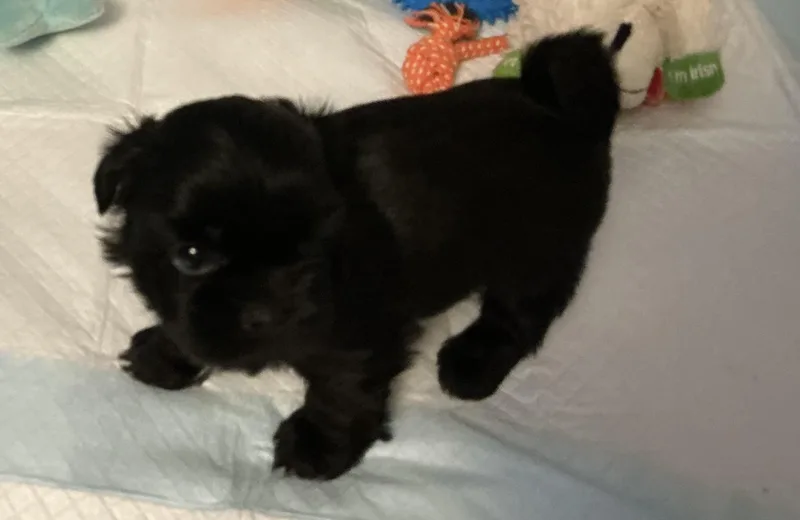 Jethro Fka Tuesday thumbnail 2