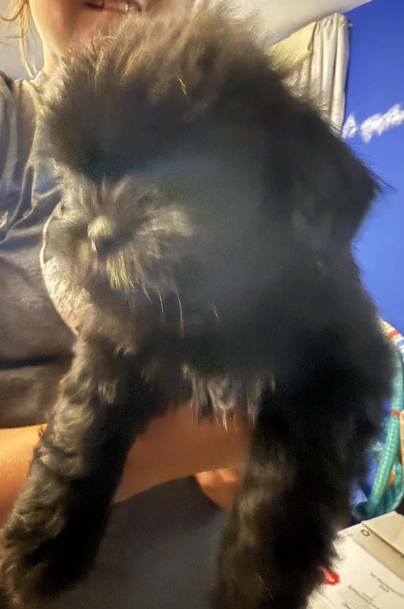 Jethro Fka Tuesday thumbnail 3