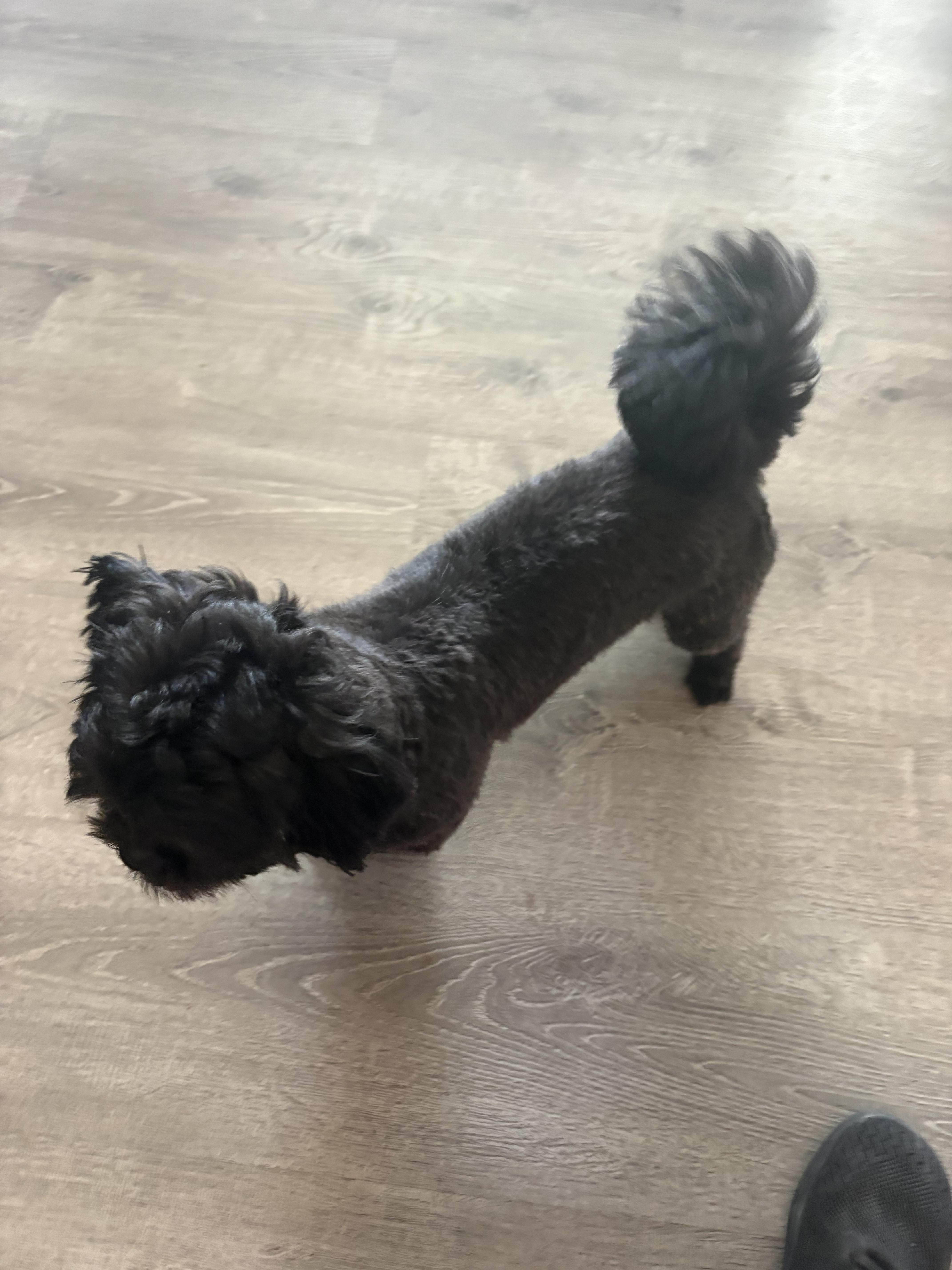 Jethro Fka Tuesday thumbnail 4