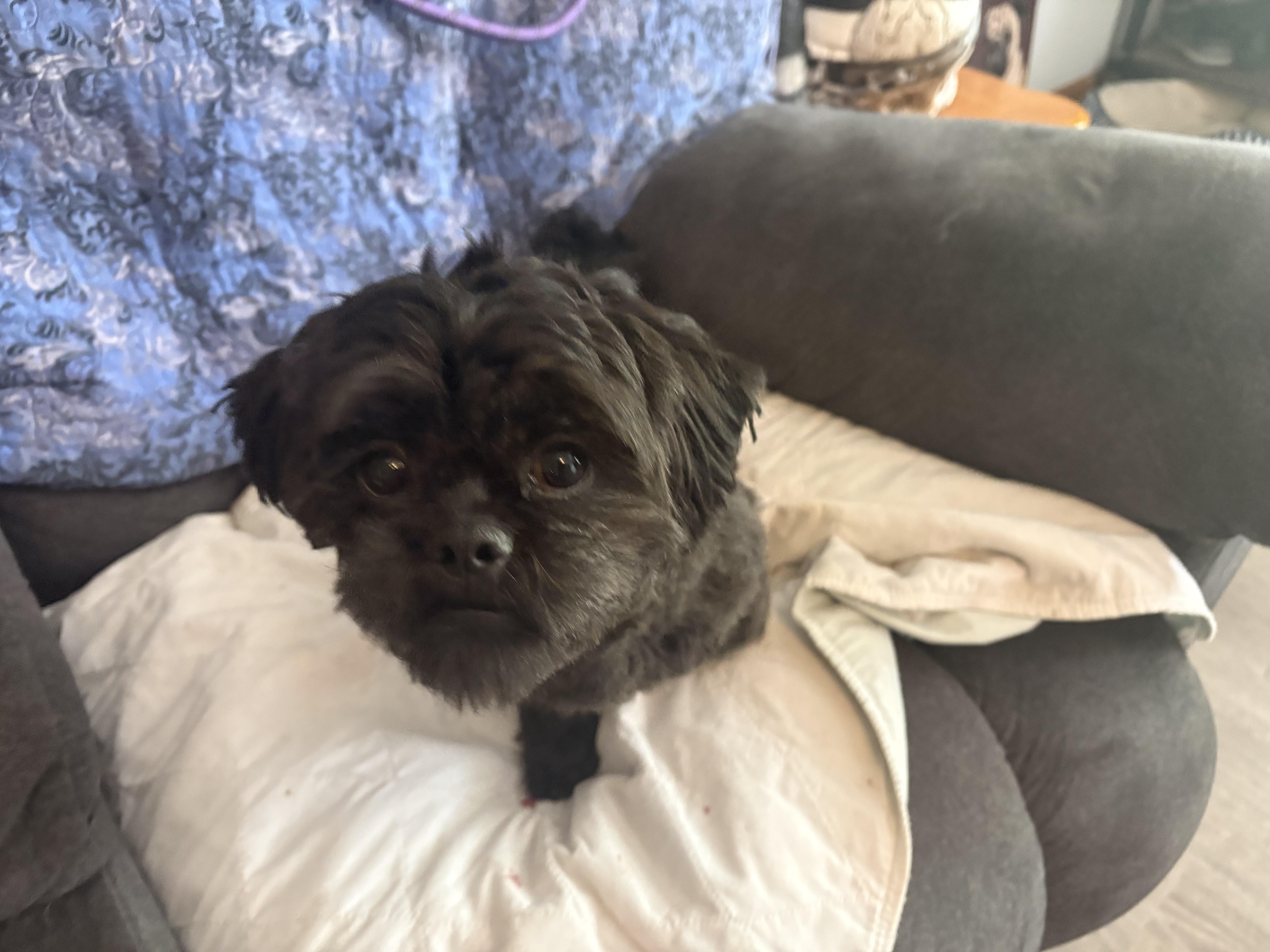 Jethro Fka Tuesday thumbnail 5