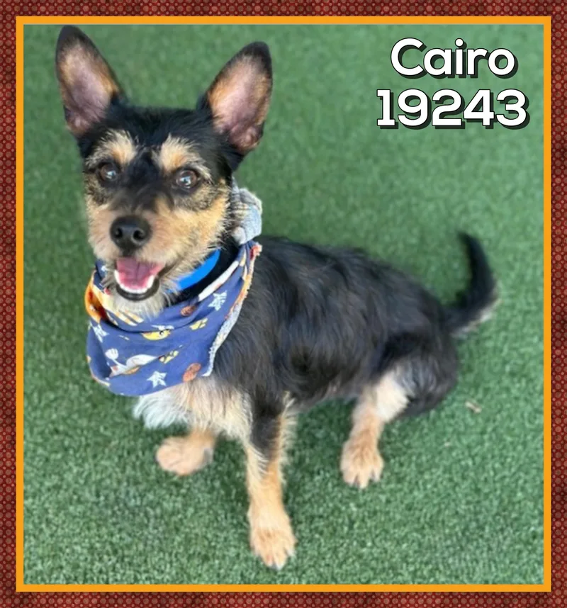 Cairo thumbnail 2