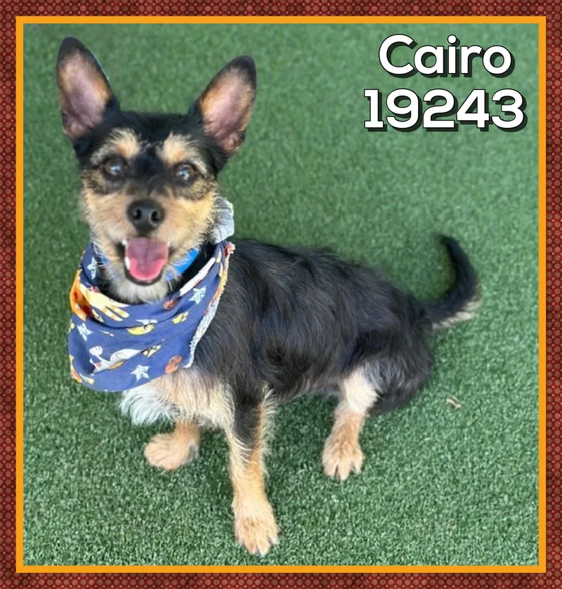 Cairo thumbnail 3