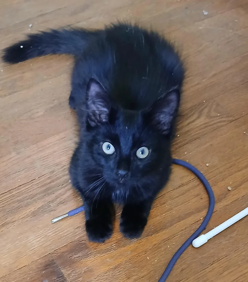 Onyx