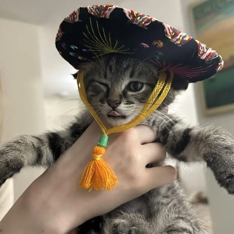 Pepe thumbnail 2