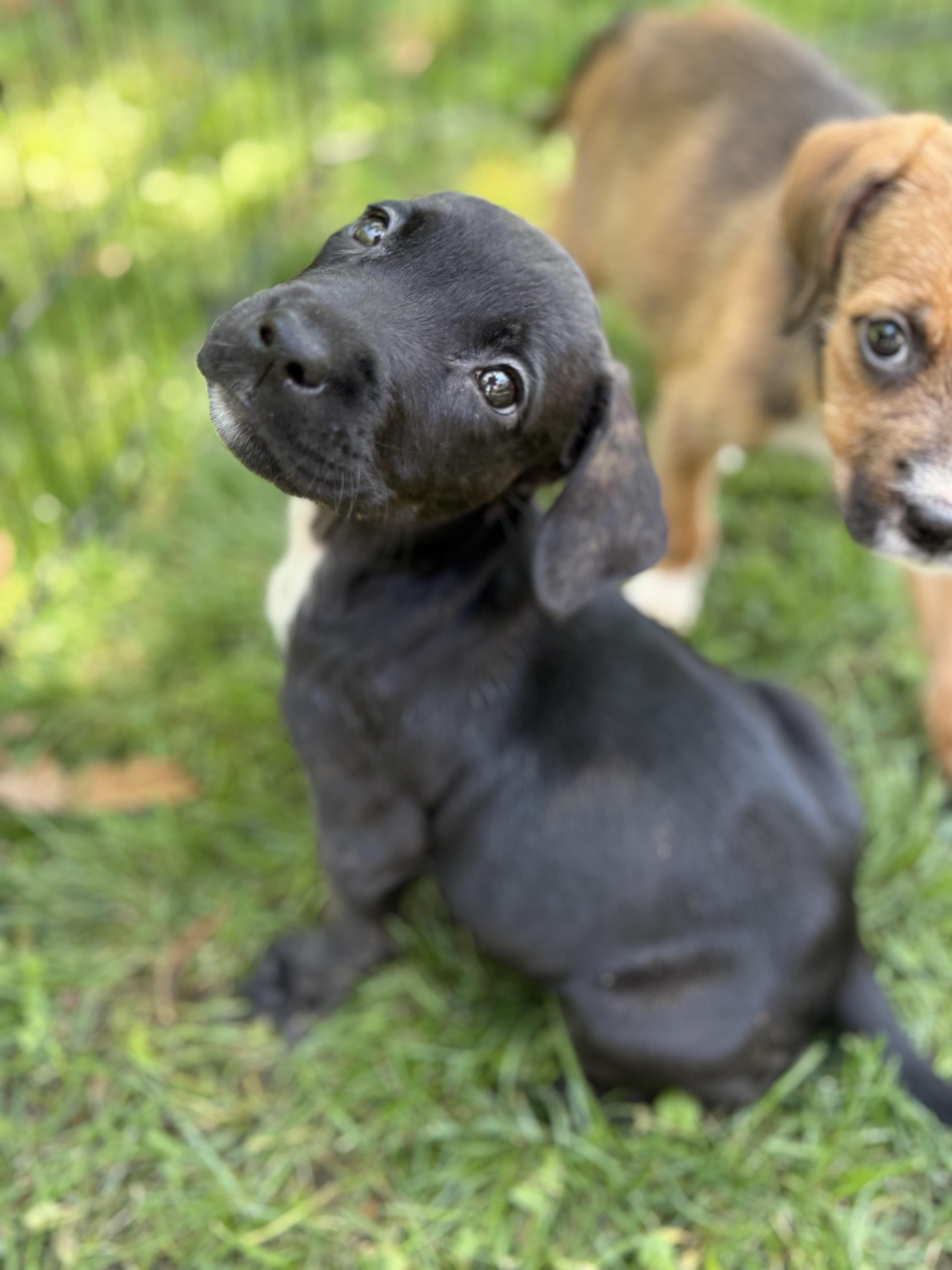 Loretta thumbnail 2