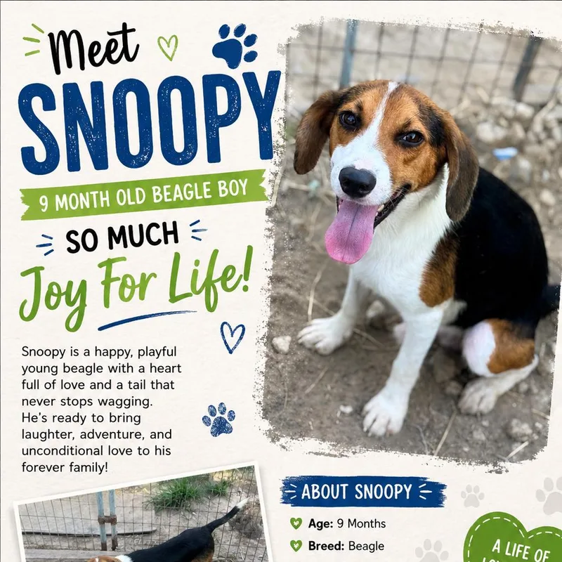 SnoopyCS