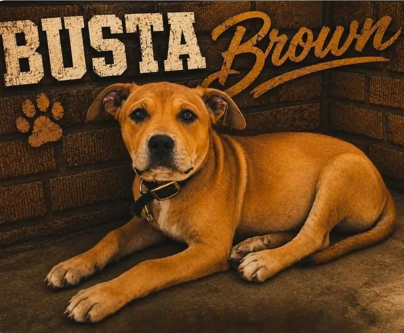 Busta Brown thumbnail 3