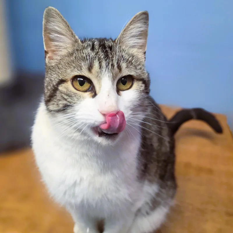 Winifred thumbnail 2