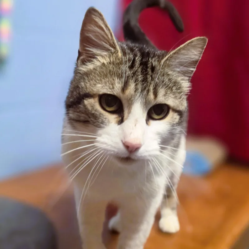 Winifred thumbnail 3