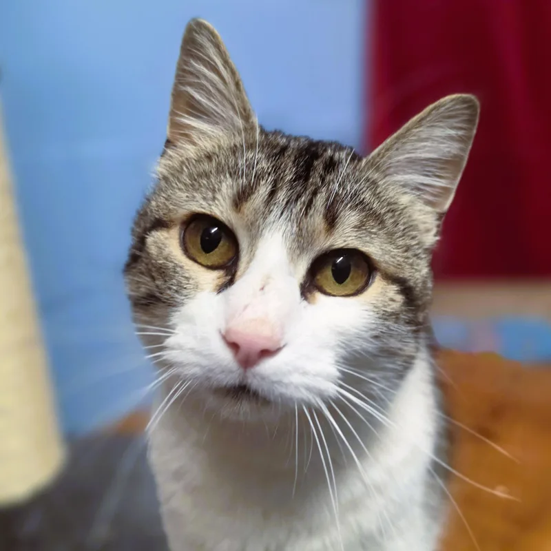 Winifred thumbnail 4